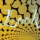 His Master’s Voice Launch – A Looking Glass Jukebox Avatar